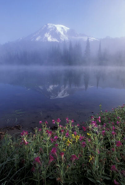 NA, USA, Washington, Mt. Rainier NP Pink monkey flowers and reflection of Mt