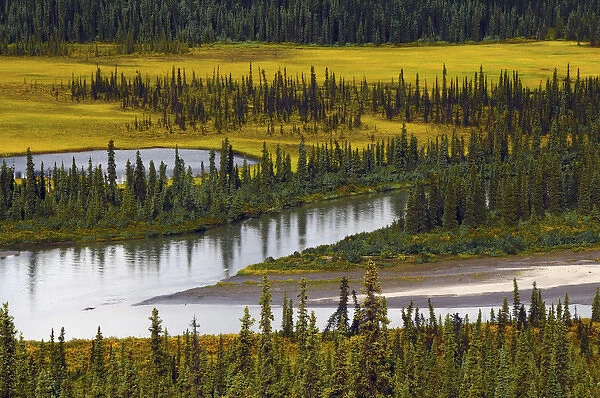 Nenana River in Autumn; Denali Highway; Alaska; USA