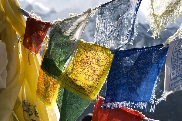 Nepal, Gokyo. Prayer flags on the summit of Gokyo Ri in Nepal