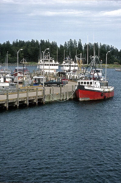 North America, Canada, New Brunswick, Deer Island. Fishing boats docked at a Deer