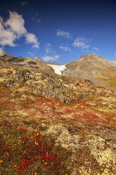 North America; USA; Alaska; Autumn Color along the Glennallen Highway