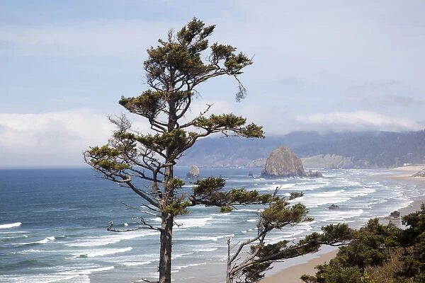 OR, Oregon Coast, view of Haystack Rock and Cannon Beach, from highway 101