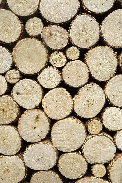 Pattern of round logs, San Francisco, California, United States