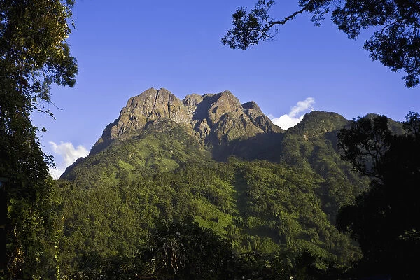 The Portal Peaks in the Rwenzori, Uganda. The Rwenzori Mountain Range is a National Park
