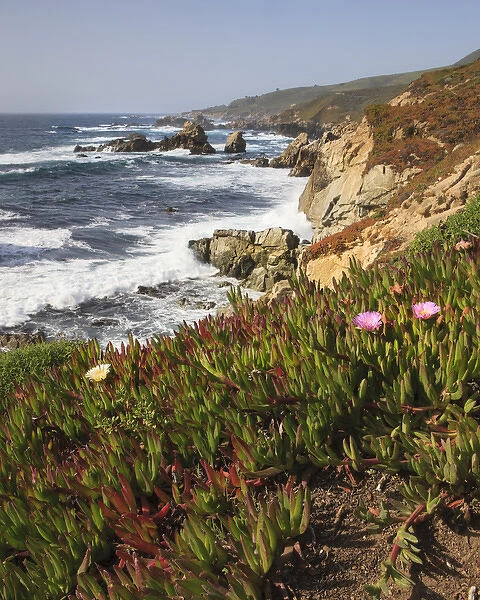 Rocky Coast with wild flowers. Garrapata State Park. View towards North. Entrance #7
