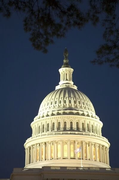 Rotunda of U. S. Capitol at night, Washington D. C. (District of Columbia), United States