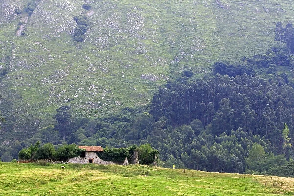 Ruins of a stone farmhouse in rural Cantabria, northern Spain