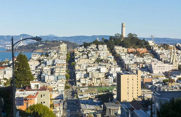San Francisco California hills of the city and Coit Tower in sunshine with streets