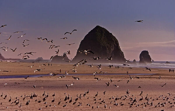 A scenic view of Hstack Rock at Cannon Beach i Oregon