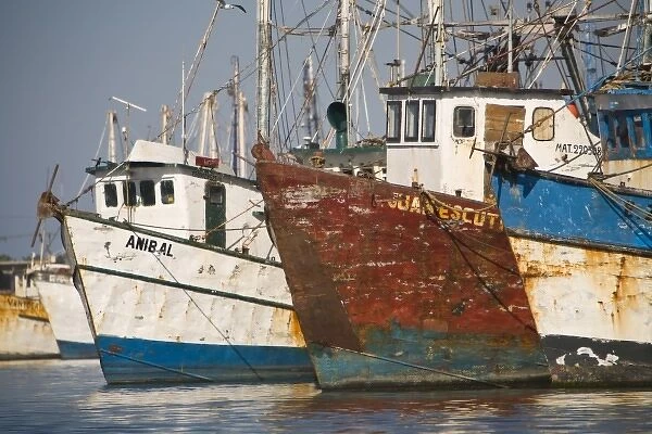 Shrimp Boats, largest fleet in Mazatlan, Sinaloa State, Mexico