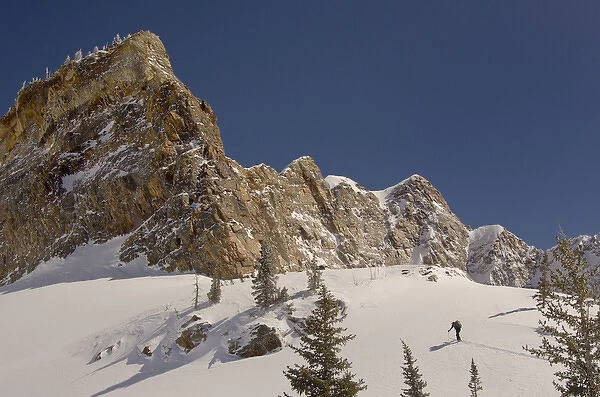 skiers ascending in Mill B South Fork, Twin Peaks Wilderness, Big Cottonwood Canyon