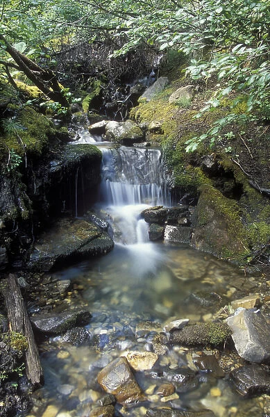 Small waterfall along creek in Jasper National Park, Canada