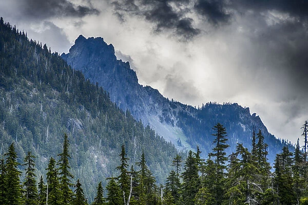 Smokey clouds and crags, Quinault River Trail, Olympic National Park, Washington State