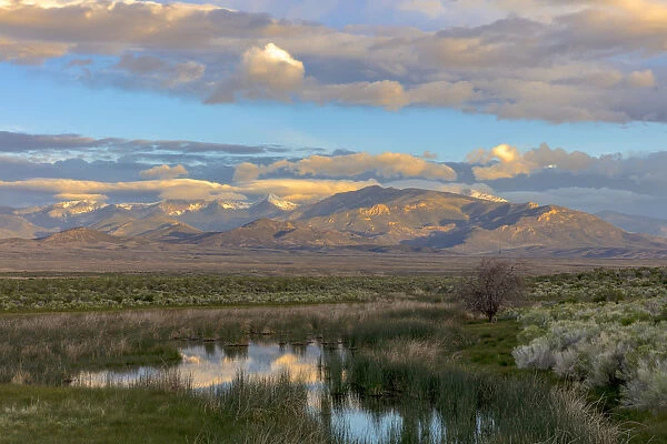 Snake Mountains reflecting into wetlands of Great Basin National Park, Nevada, USA