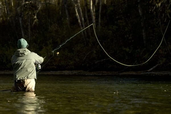 Sport fisherman fly fishing for steelhead trout in the Bulkley River, Kispiox Valley