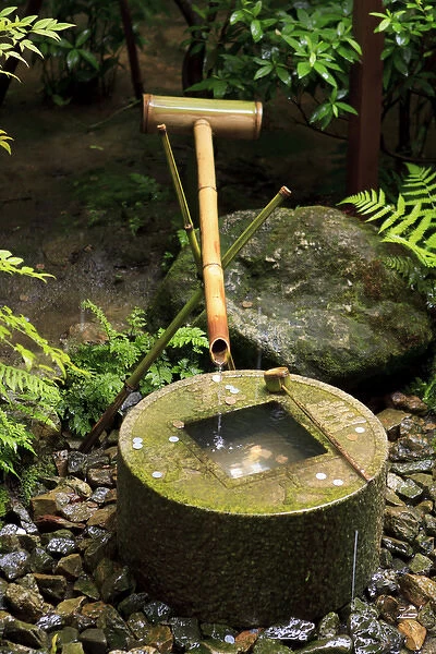 A stone water basin in the grounds of Ryoan-Ji Temple in Kyoto, Japan