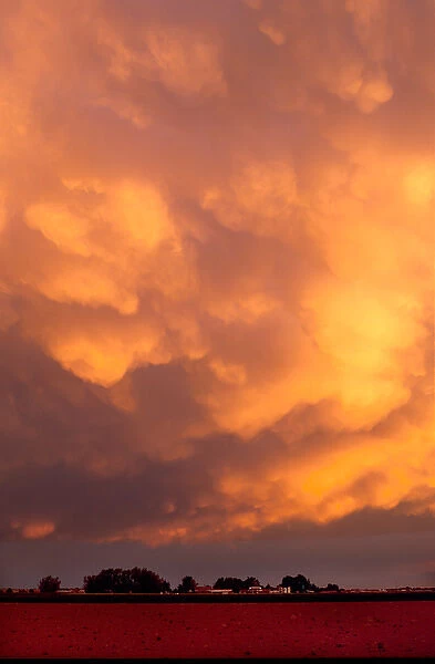 Storm clouds at sunset over southwest Idaho. Mammarian clouds are laden with moisture