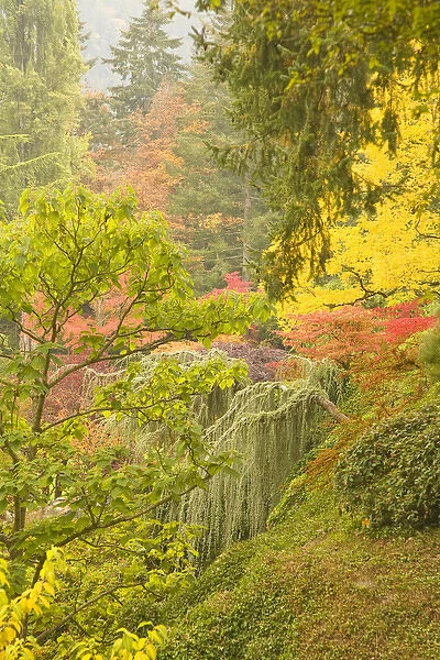 The Sunken Garden, Autumn Colors, Butchart Gardens, National Historic Site of Canada