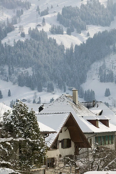 SWITZERLAND-Bern-FRUTIGEN: Kandertal Valley- Town View  /  Winter