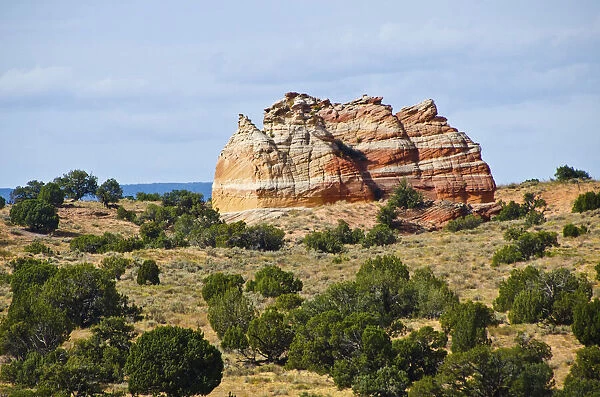 USA, Arizona, Vermilion Cliffs National Monument. White Pocket, striped multicolored formations of Navajo sandstone