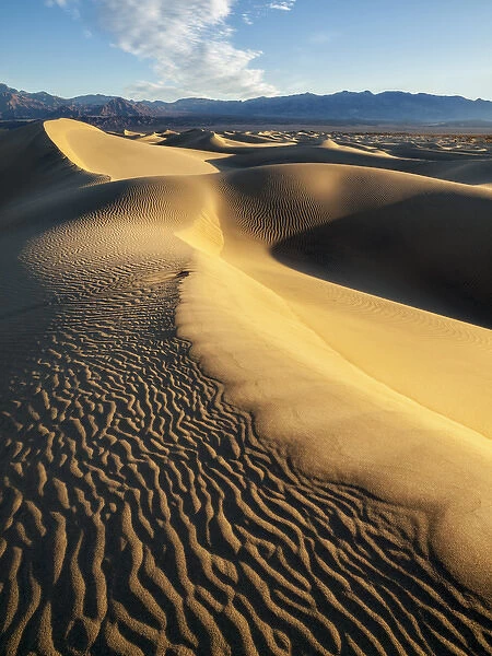 USA, California, Death Valley National Park, Early morning sun hits Mesquite Flat Dunes