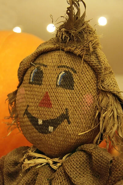 Usa, California, Del Mar. A scarecrow at a Pumpkin Patch festival