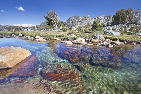 USA, California, Inyo National Forest. Clear stream near Garnet Lake