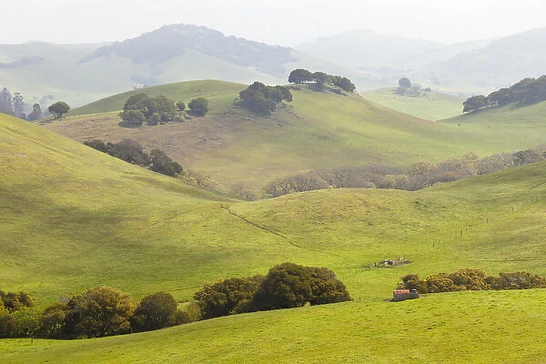 USA, California, Olema. Landscape of farm fields