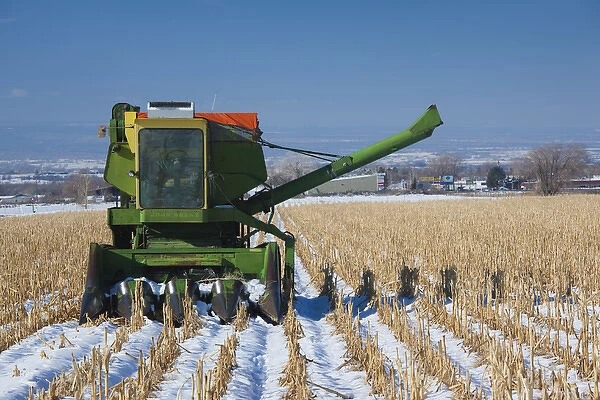 USA, Colorado, Montrose, combine in snowy field
