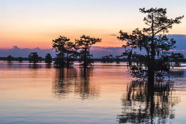 USA, Louisiana, Atchafalaya National Wildlife Refuge. Sunrise on swamp. Credit as