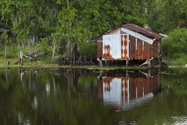 USA, Louisiana, New Orleans, Old fishing shack in cypress forest lining bayou along