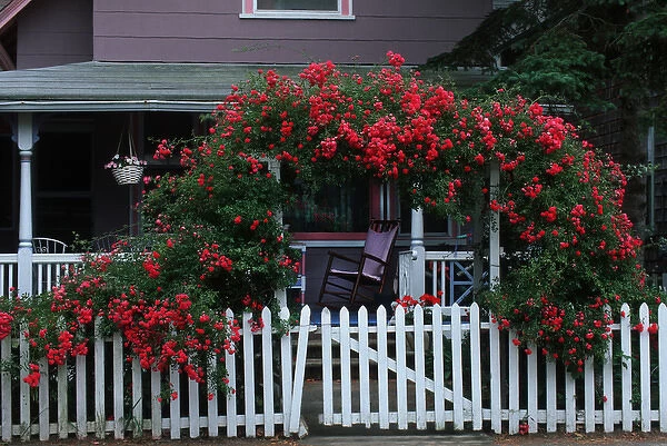 USA, Massachusetts, Marthas Vineyard, Edgartown. Colorful arbor and picket fence