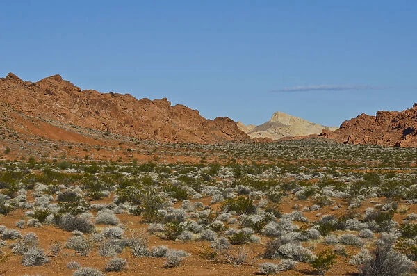 USA, Nevada. Valley of Fire State Park Highway Views