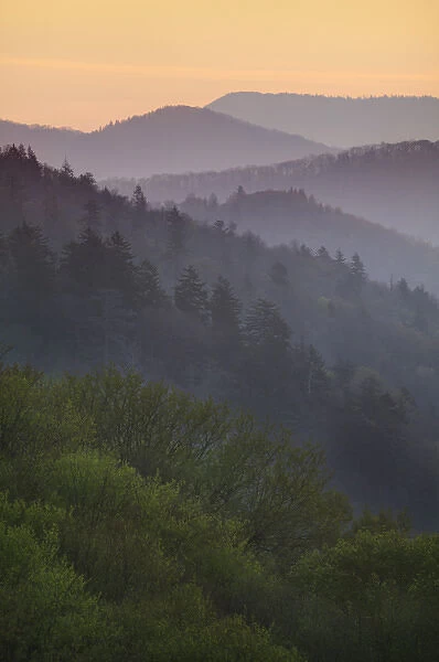 USA, North Carolina. Sunrise view from the Oconaluftee Overlook in the Great Smoky