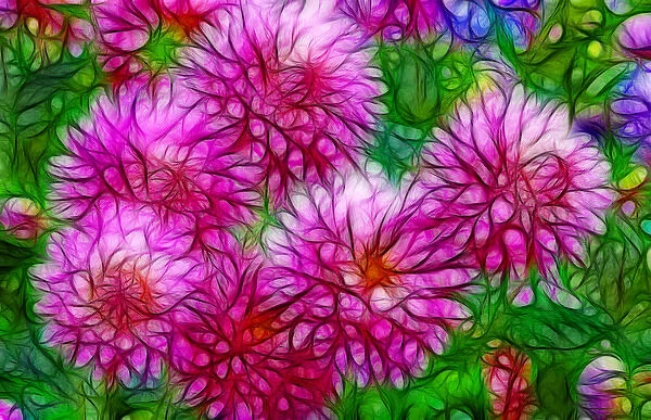 USA, Oregon. Abstract of digitally altered pink dahlias