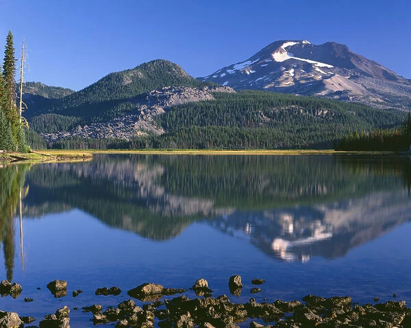 USA, Oregon, Deschutes National Forest. South Sister reflecting in Sparks Lake in early morning