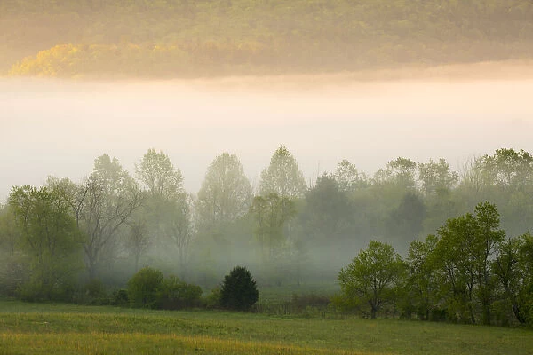 USA, Tennessee. Early morning fog in Cades Cove