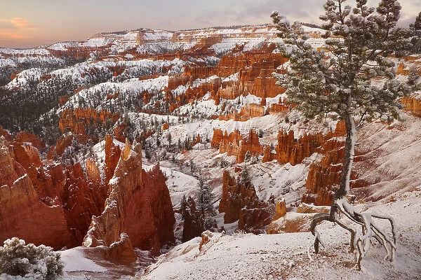 USA, Utah, Bryce Canyon National Park. View of Bryce Canyon in winter. Credit as