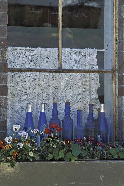 USA, Washington, Palouse. Row of blue bottles and flowers brighten a window sill