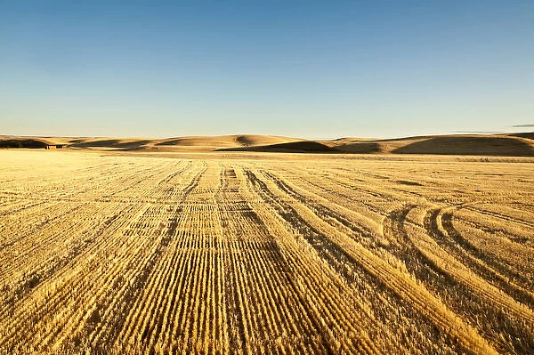 USA, Washington, The Palouse. Wheatfields of the Palouse photographed from a hot