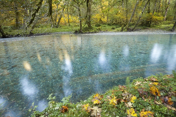 USA, Washington. Scenic of Quinault River in the Olympic National Park. Credit as