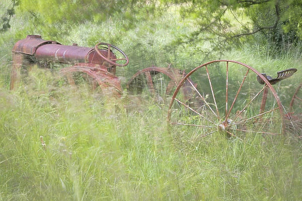 USA, Washington, Seabeck. Rusty old tractor in grasses waving in breeze. Credit as