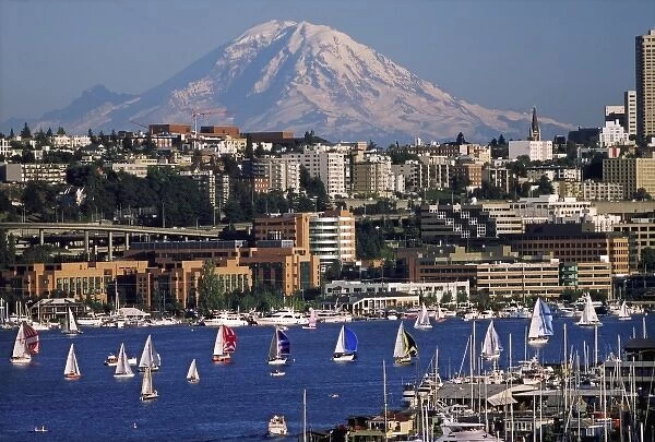 USA, Washington, Seattle. Summer cityscape features Lake Union, sailboats and Mt. Rainier