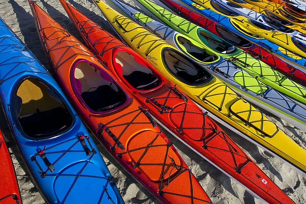 USA, Washington State. Array of kayaks at West Coast Sea Kayak Symposium, Port Townsend