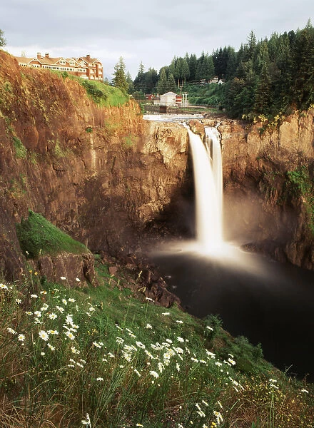 USA, Washington State, Salish Lodge and English Daisies overlook the 270 foot faller