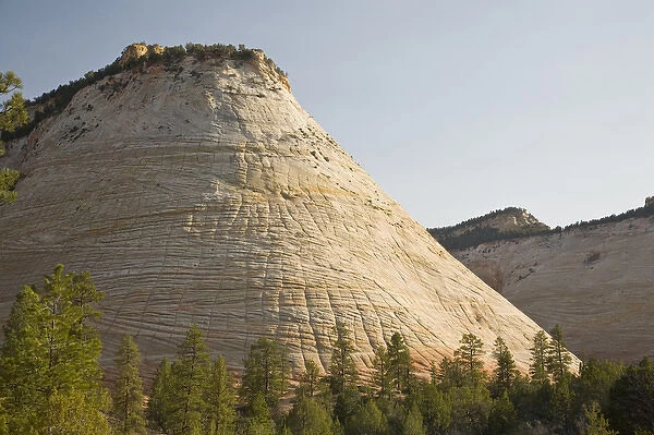 Utah, Zion National Park, Checkerboard Mesa, checkerboard pattern caused from blowing sand