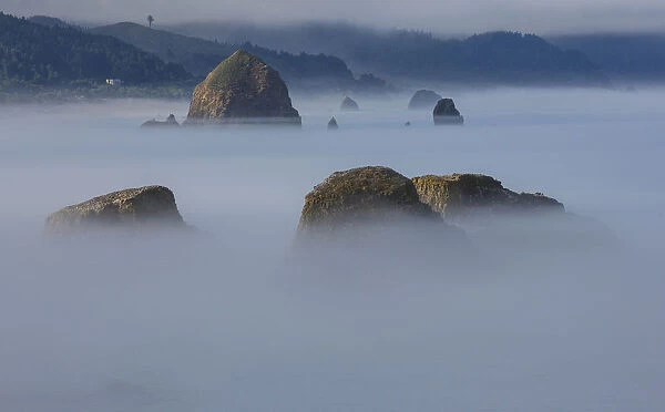 View of Cannon Beach with sea stacks with rising fog from Ecola State Park
