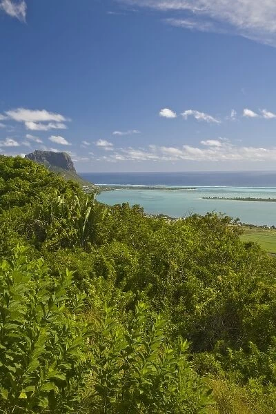 Viewpoint near Grand Riviere Noire, South Mauritius, Africa