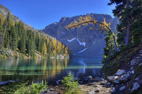 WA, Wenatchee NF; Blue Lake with golden larch trees