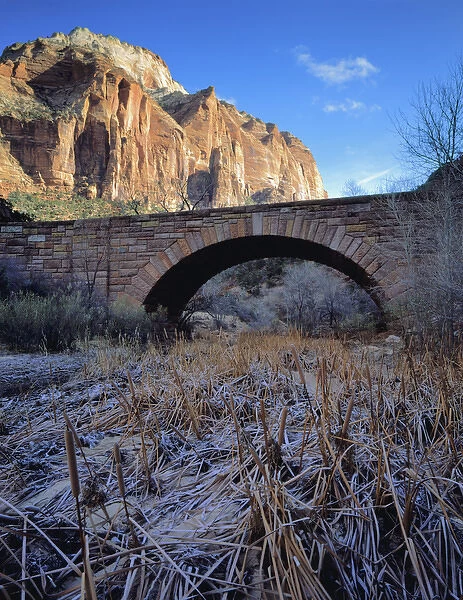 Zion National Park, Utah. USA. East Temple rises above frosted cattails & bridge over Pine Creek